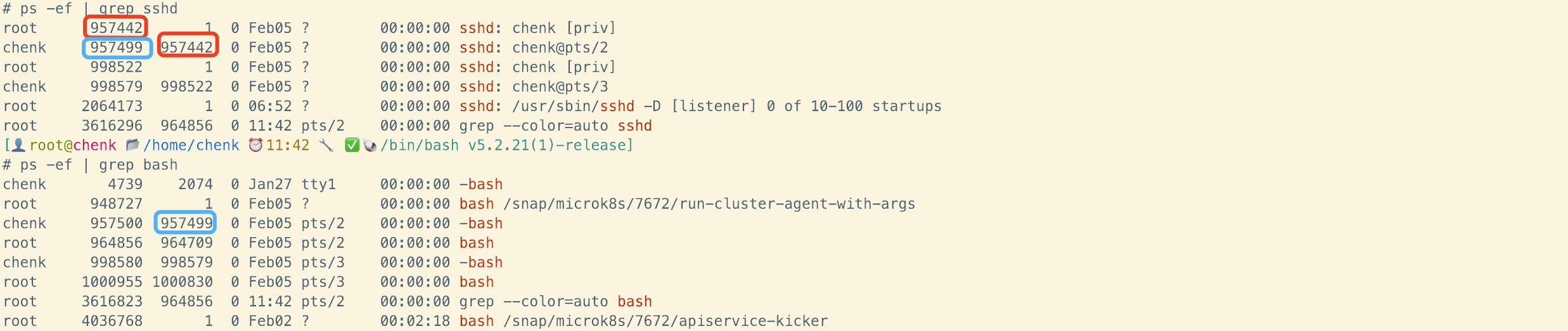 image-20250206114542373